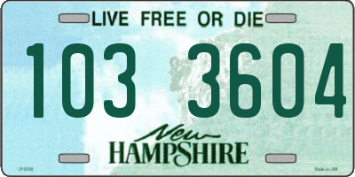 NH license plate 1033604