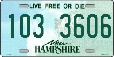 NH license plate 1033606