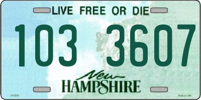 NH license plate 1033607