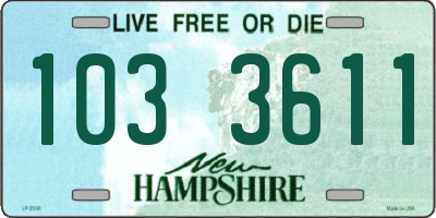 NH license plate 1033611
