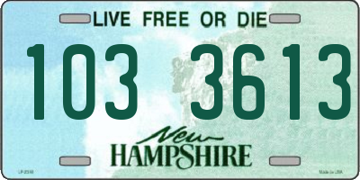NH license plate 1033613