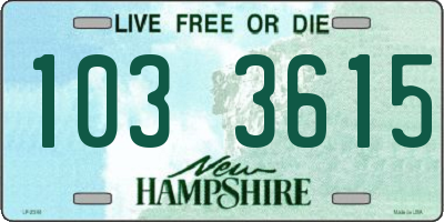 NH license plate 1033615