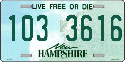 NH license plate 1033616