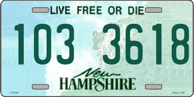 NH license plate 1033618