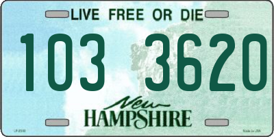 NH license plate 1033620