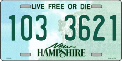 NH license plate 1033621