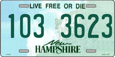 NH license plate 1033623