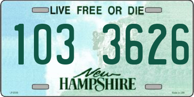 NH license plate 1033626