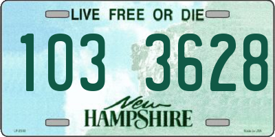 NH license plate 1033628