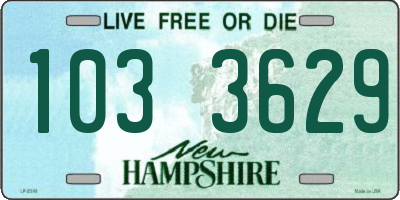 NH license plate 1033629