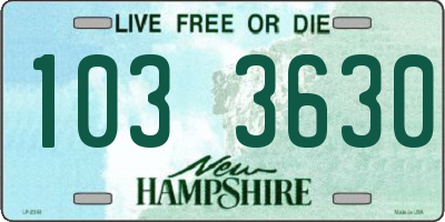 NH license plate 1033630