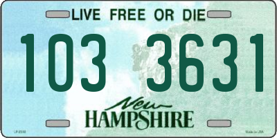 NH license plate 1033631