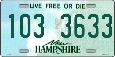 NH license plate 1033633