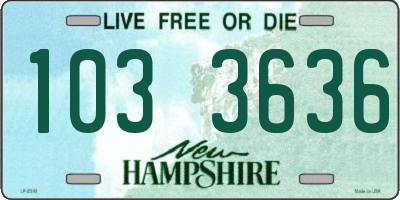 NH license plate 1033636