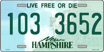 NH license plate 1033652