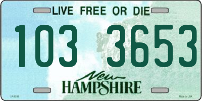 NH license plate 1033653