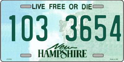 NH license plate 1033654