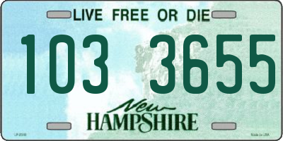 NH license plate 1033655