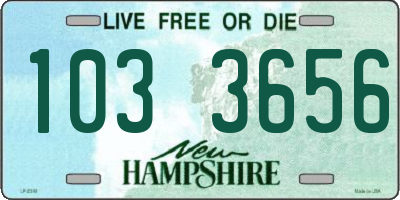 NH license plate 1033656