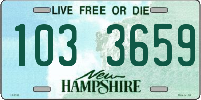 NH license plate 1033659