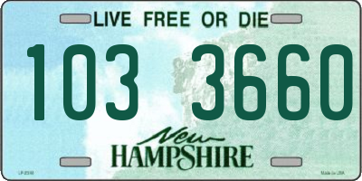 NH license plate 1033660