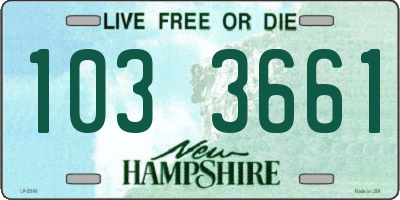 NH license plate 1033661