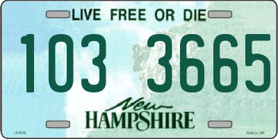 NH license plate 1033665