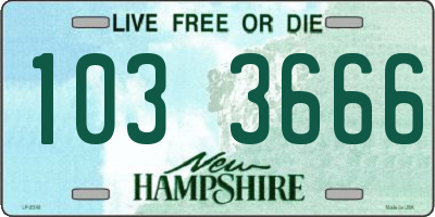 NH license plate 1033666