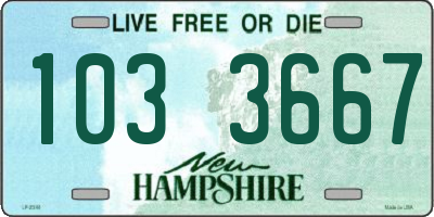 NH license plate 1033667