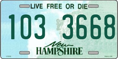 NH license plate 1033668
