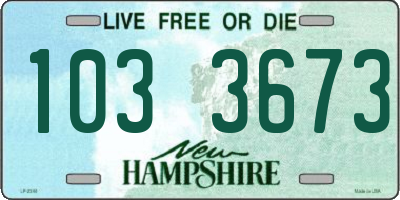 NH license plate 1033673