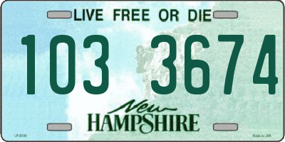 NH license plate 1033674