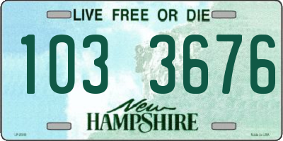 NH license plate 1033676