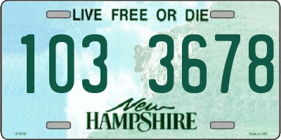 NH license plate 1033678