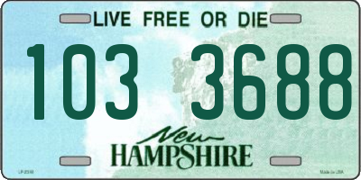 NH license plate 1033688