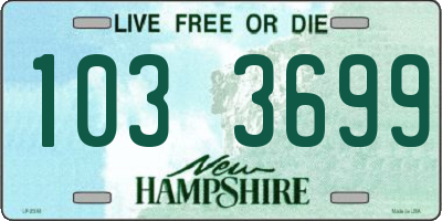 NH license plate 1033699