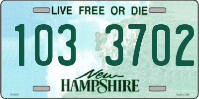 NH license plate 1033702