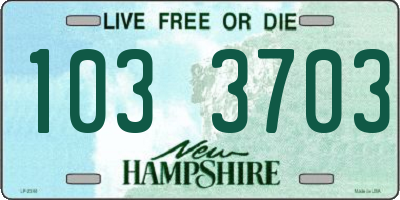 NH license plate 1033703