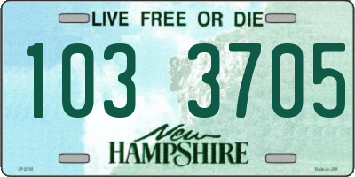 NH license plate 1033705