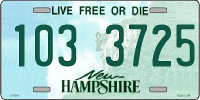 NH license plate 1033725