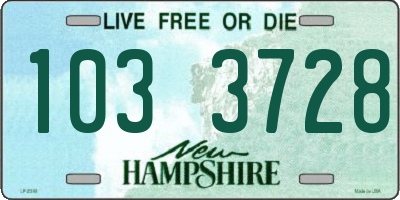 NH license plate 1033728