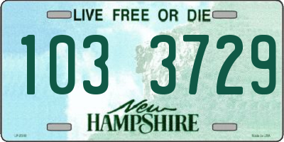 NH license plate 1033729