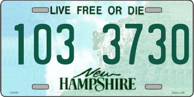 NH license plate 1033730