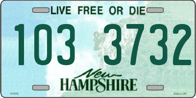 NH license plate 1033732