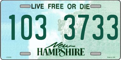 NH license plate 1033733