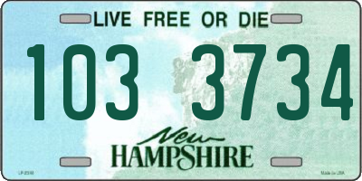 NH license plate 1033734