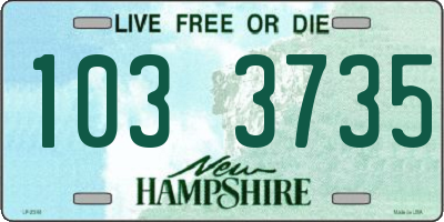 NH license plate 1033735