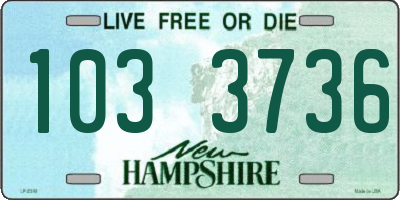 NH license plate 1033736