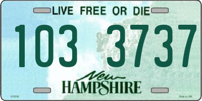 NH license plate 1033737