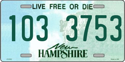 NH license plate 1033753